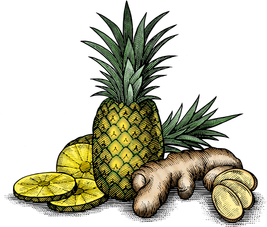 Pineapple & Ginger Root - Pineapple & Ginger Root (1000x818)