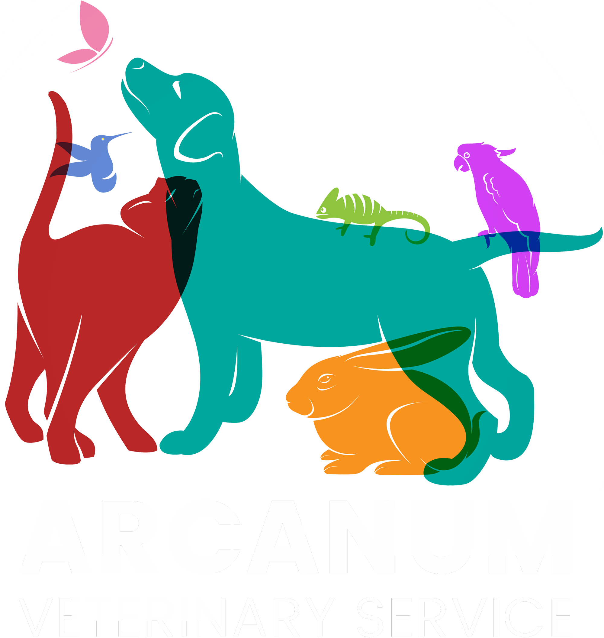 Arcanum Veterinary Service - Pet (2000x2111)
