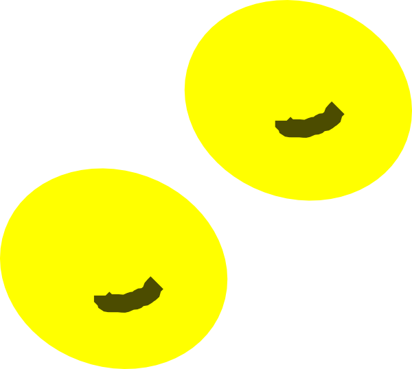 Circle (600x538)