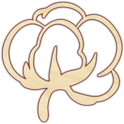 Cotton Boll - Nuclear Pore (433x433)