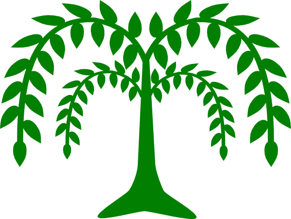 Weeping Willow Clip Art (600x452)