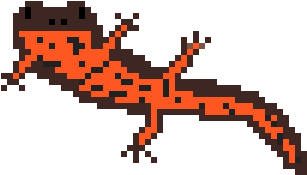 Newt - Oriental Fire-bellied Toad (600x600)