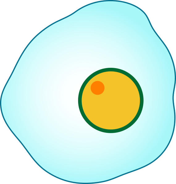 Circle (570x597)