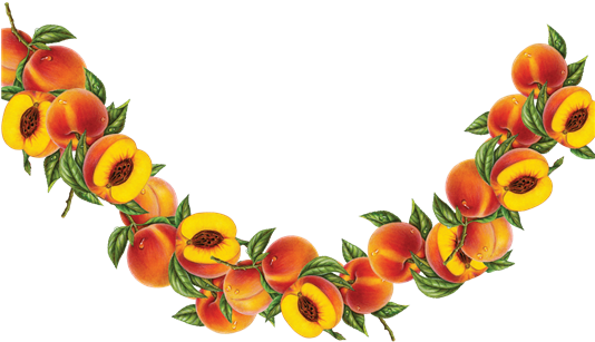 Resize - Rose (533x373)