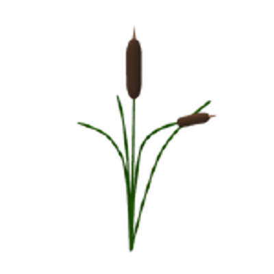 Cattails Poser Sharecg - Bulrush (400x400)