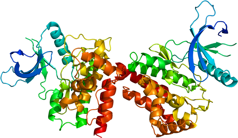 Janus Kinase 2 Structure (961x576)
