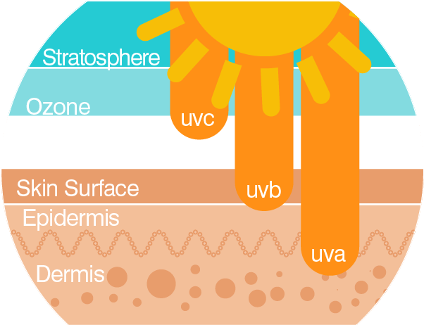Sun Protection (622x461)