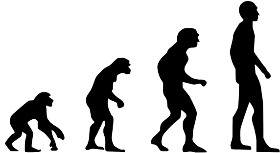 Evolution 2780651 1280 - Homo Sapiens Evolution Png (768x320)