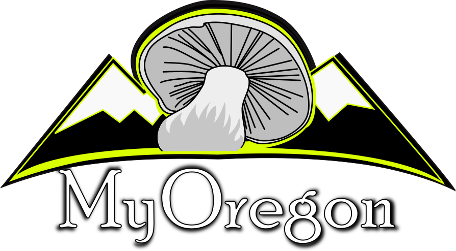 Logo - Wimer Covered Bridge (894x494)