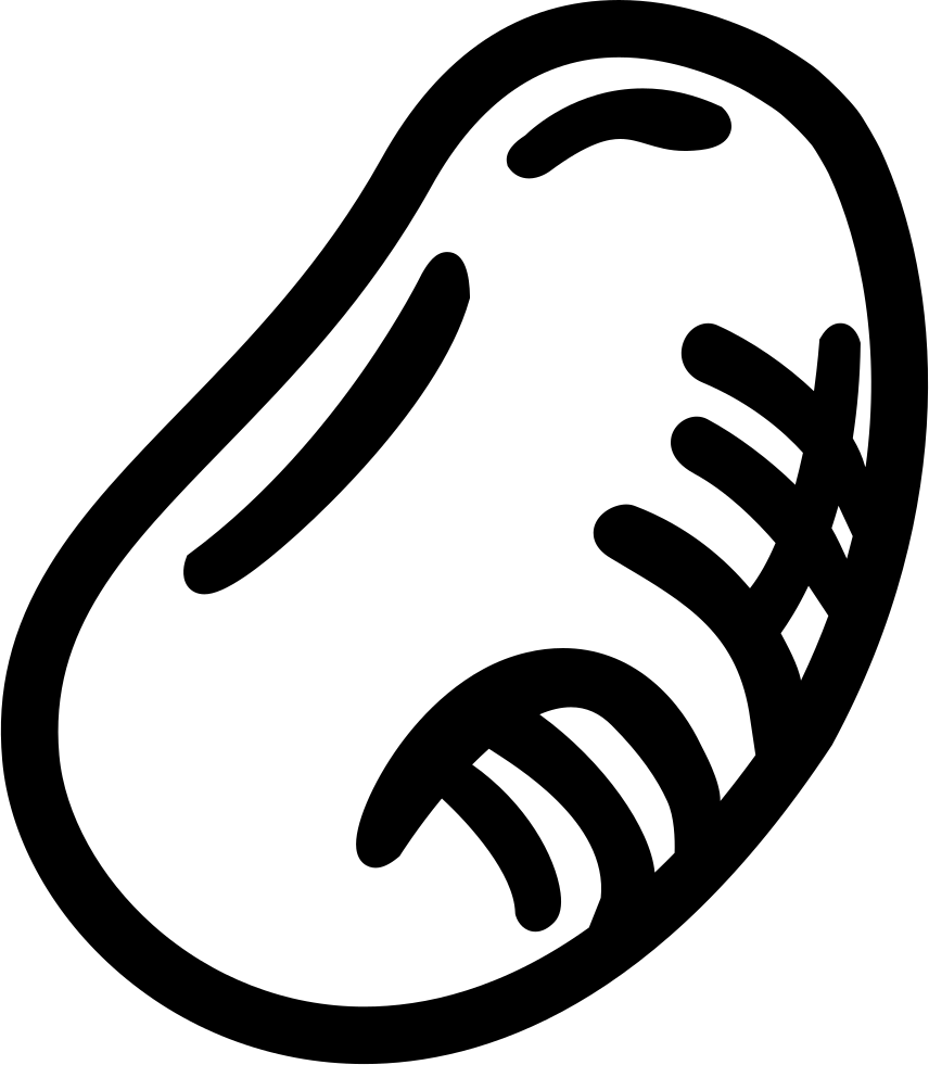 Png File - Bean (856x981)