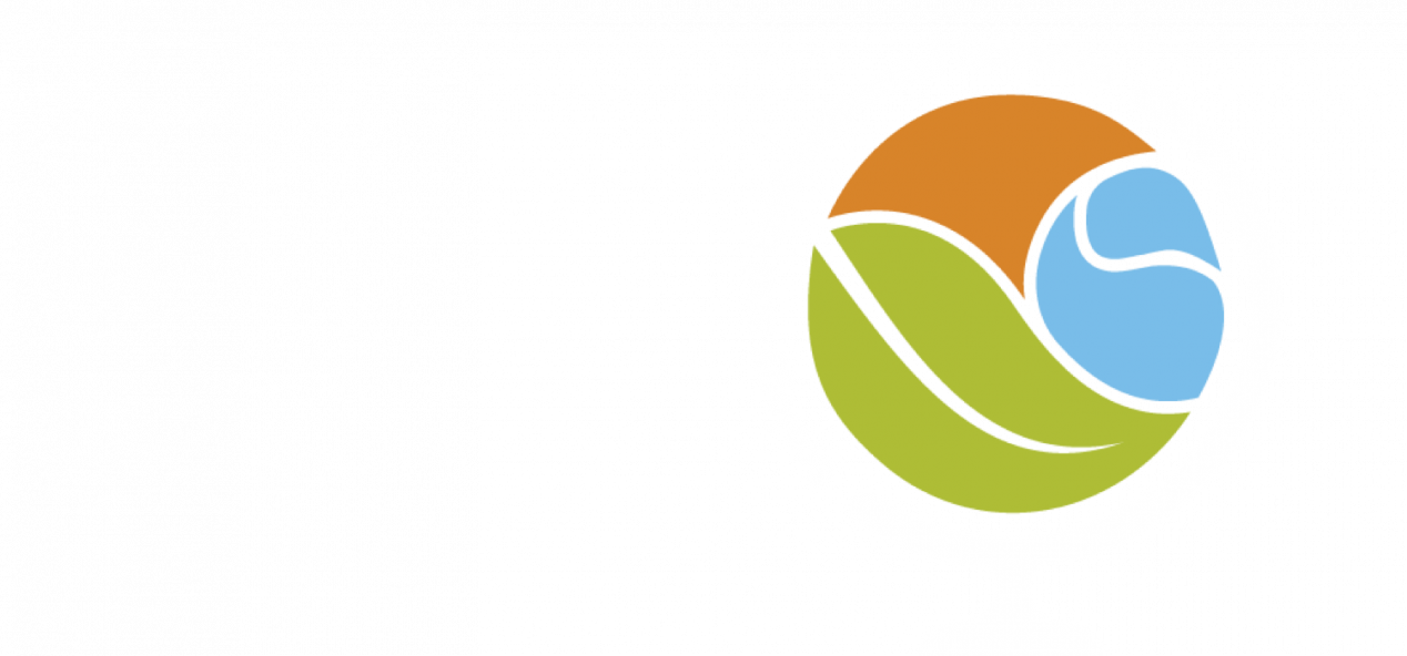 Here's How To Get Started - College Softball (1268x592)