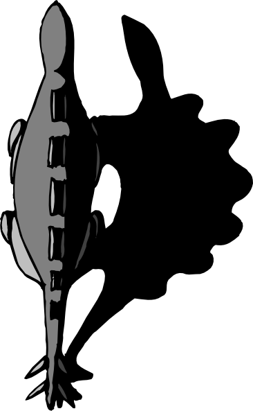 Shadow (366x593)