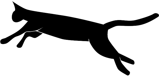 O Pulo Do Gato (640x320)