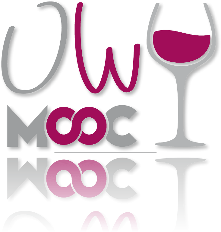 Mooc - Wine Glass (742x822)