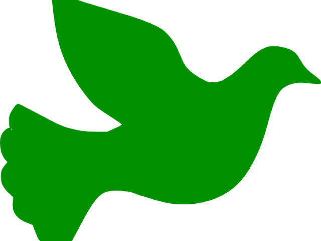 Dove Silhouette (640x480)