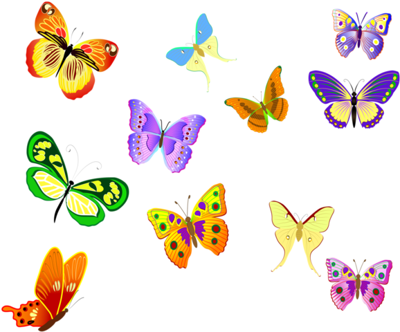 Papillons - Coloring Book For Grown Ups: Gorgeous And Elegant Butterflies (600x517)