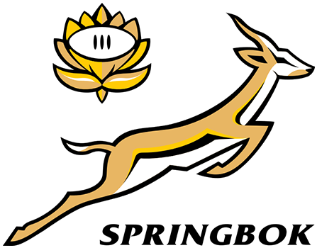 Springboks Vs Argentina 2018 (500x500)