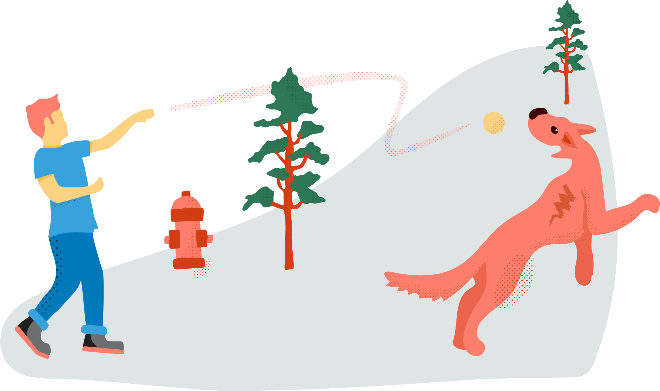 Dog First Aid Kit - Illustration (2667x1501)