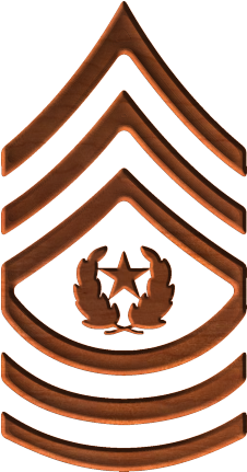 Army Rank E9 Command Sergeant Major - Command Sergeant Major Army Csm Rank (430x430)
