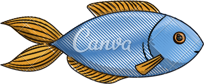 Blue Trout Fish - Vector Graphics (800x800)