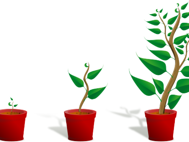 Getting To Know Plants (640x480)