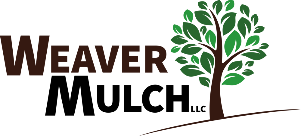 Dirt Clipart Humus Soil - Java Interview Guide: How To Build Confidence (1000x454)
