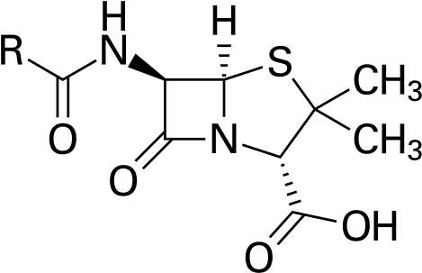 Penicillin Structure (500x334)