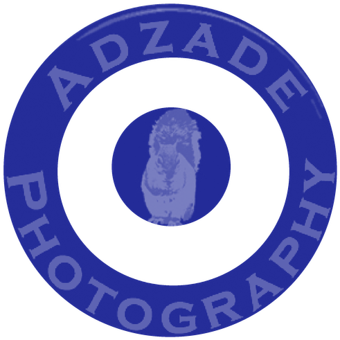 Facebook - Emblem (522x510)