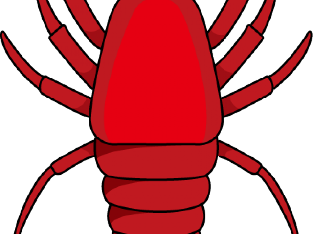 Shrimp (640x480)