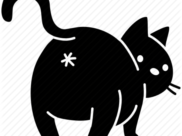 Cute Cat Icon Transparent (640x480)