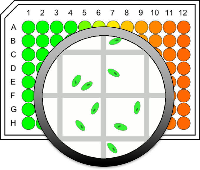 Microcell Arrays Obtain More Accurate Data From Single - Data (679x578)