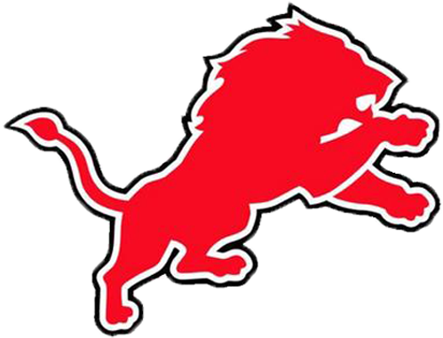 Detroit Lions (504x504)
