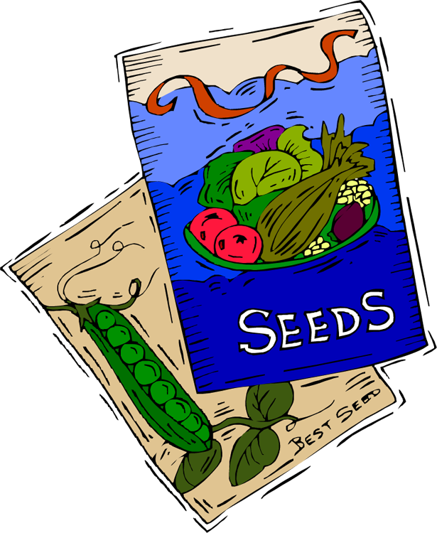 Green Thumbs - Vegetable Seeds (615x750)