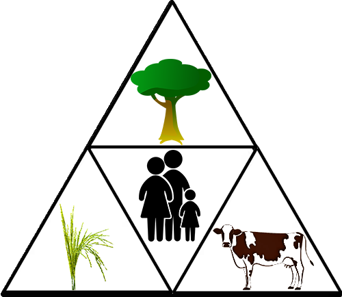 Agroforesterie Definition (500x434)