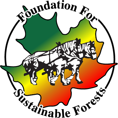 Foundation For Sustainable Forests (382x382)