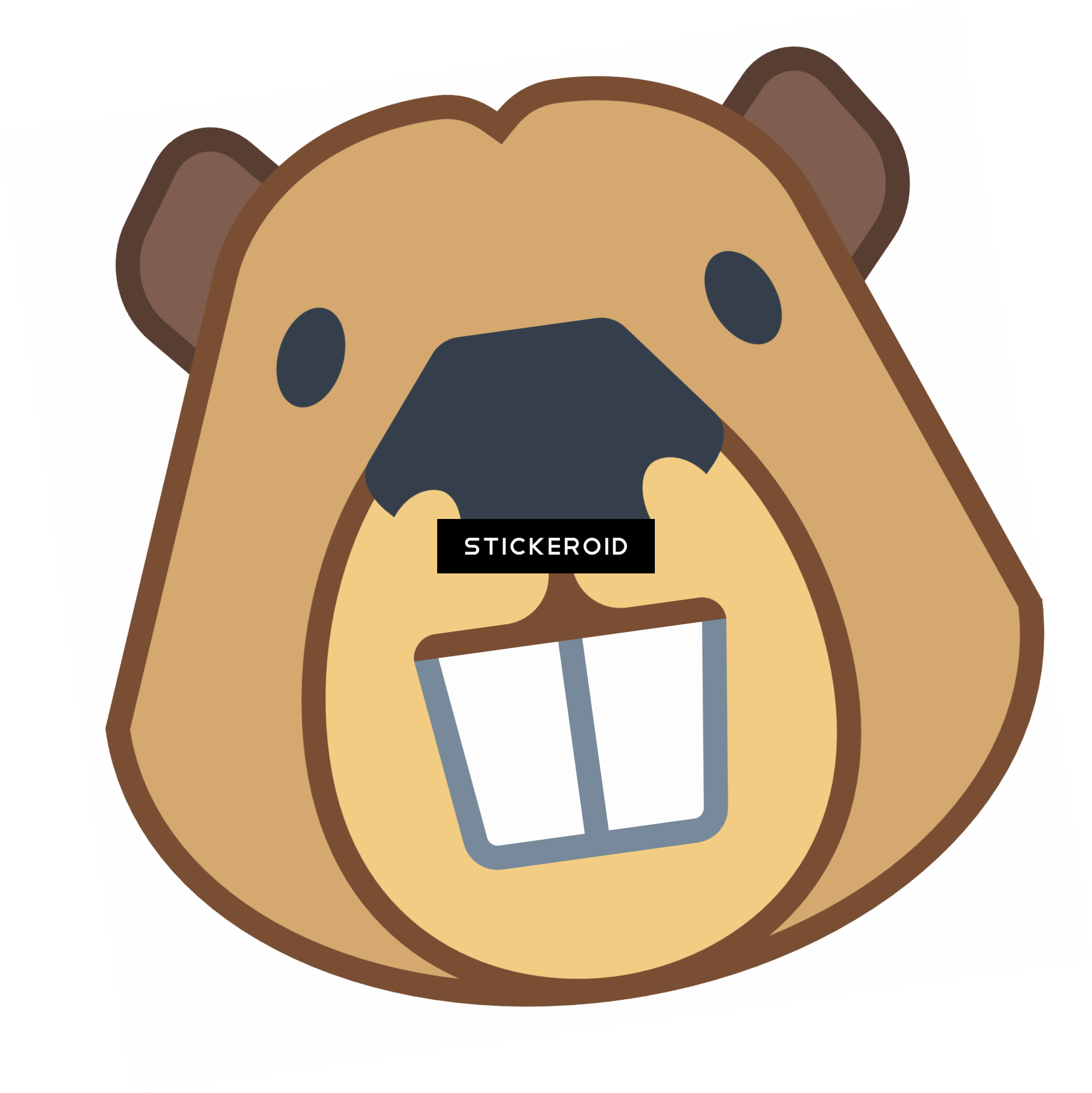 Beaver Animals - Beaver (1806x1807)