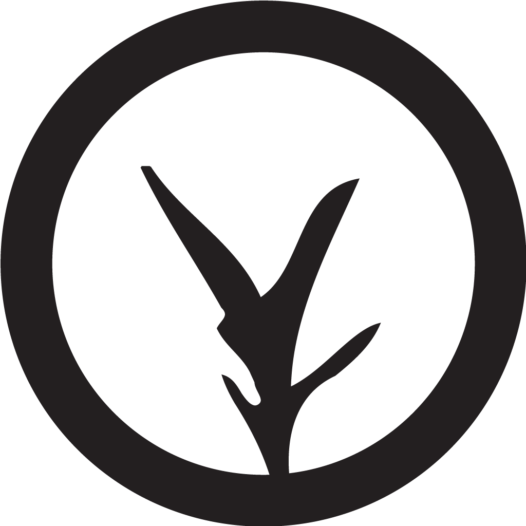 Play Button Icon Png (1024x1024)
