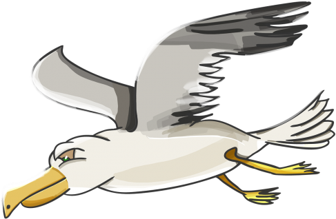 Filmas - Gulls (500x450)