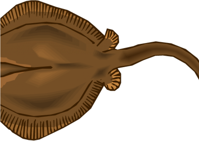 Stingray Clipart Angry - Stingray (640x480)