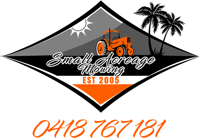 Acreage Mowing Sunshine Coast - Orlando Souvenir Tshirt Gift Palm Tree Sun Florida (700x507)