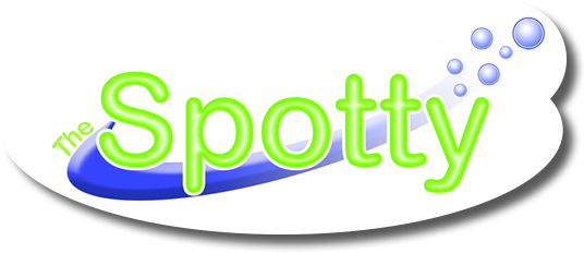 Spot Cleaning Made Easy - Product (624x231)