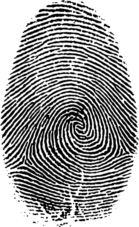 Medium Image - Fingerprint Fibonacci (474x774)
