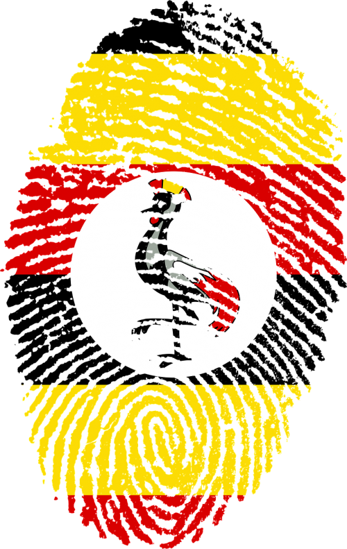 Flag Tunisia Pn G (500x791)