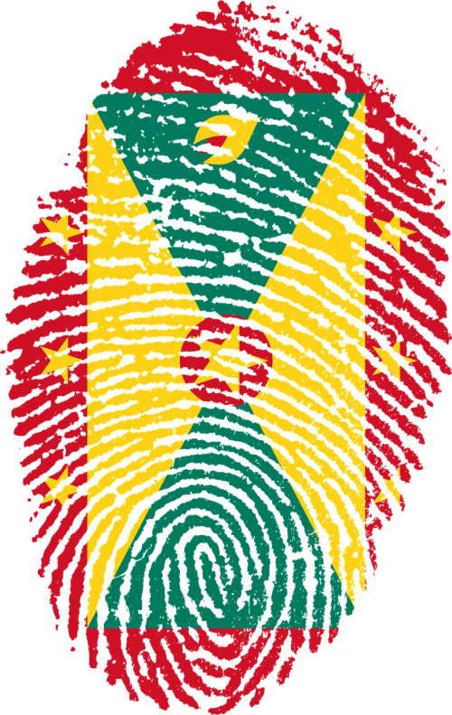 Grenada Flag (500x791)