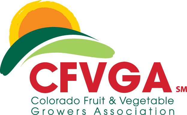 Cfvga Board - Svea Ekonomi (624x384)