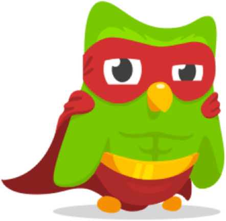 Super Duo Duolingo (500x500)