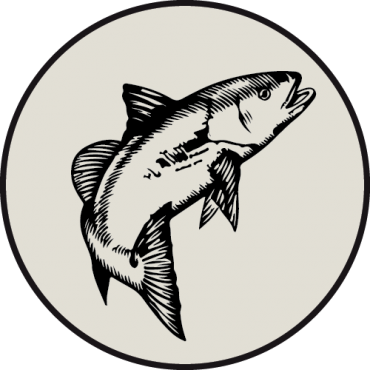 Seafood - Asset (370x370)
