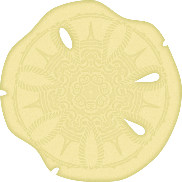 Sand Clipart Transparent - Skeleton (750x750)
