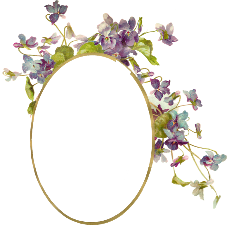 Zibi Vintage Scrap - Flower Borders And Frames (777x768)