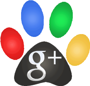 Google Plus (350x350)